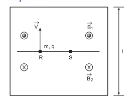 Choque 1zm1kw3