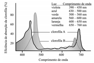 Espectro da luz visível 2dwe1yh