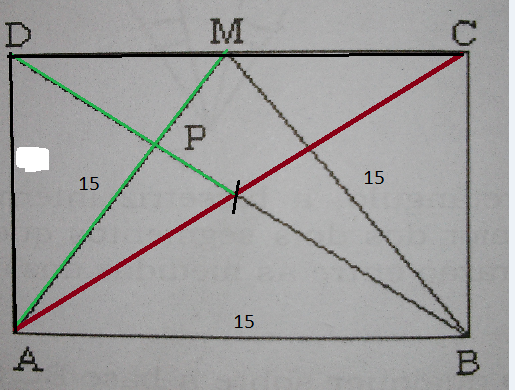 Geometria Plana - Retângulo 2gxjhg0