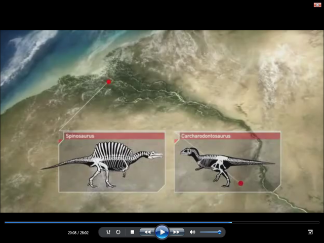 El Spinosaurus tenía las patas cortas - Página 2 2uppkjb