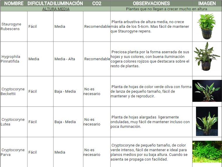 GUÍA DE PLANTAS ACUATICAS N482z7