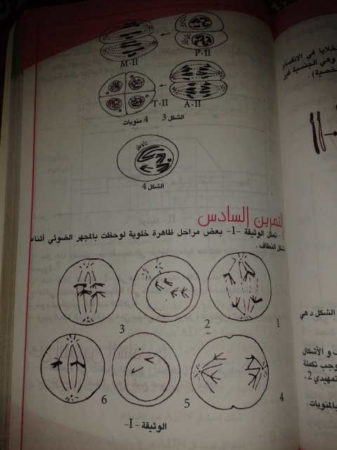 تمارين الفصل الثاني - علوم تجريبية - 121y4cl