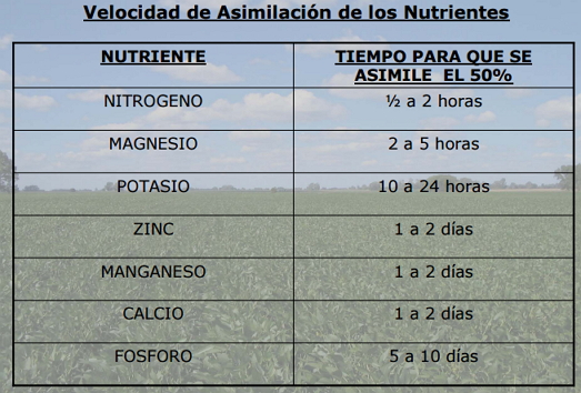 Tiempo de absorción de nutrientes vía foliar 1z5n3om