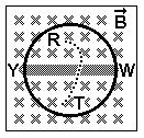 magnetismo 1zp05e8