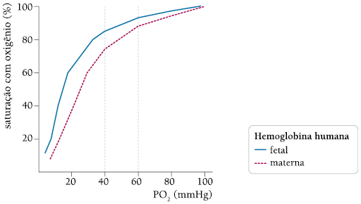 Hemoglobina Fetal (HbF) 2i945kg