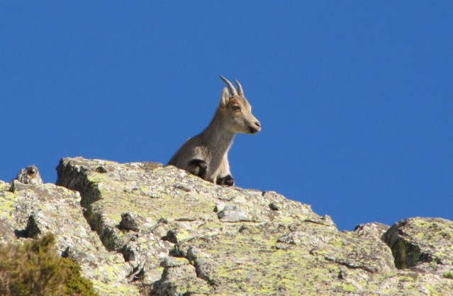 20120225 - GUADARRAMA - LA MALICIOSA 2uhbq11