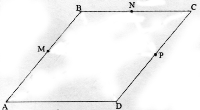 Paralelogramo 96ggt3