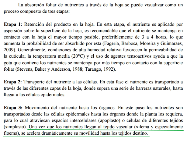 Tiempo de absorción de nutrientes vía foliar Eperet