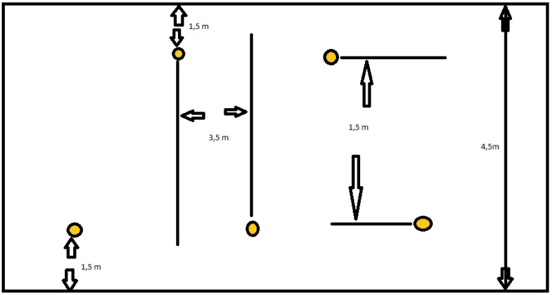 Curiosidad de la prueba pratica para la licencia Jubzv4