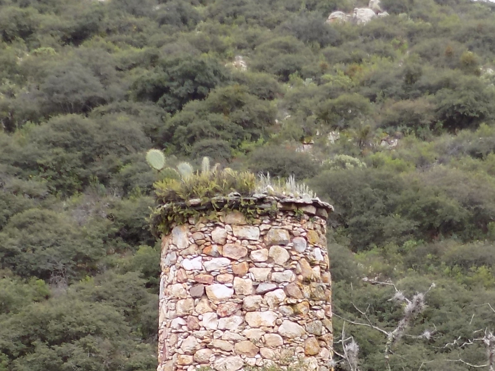 !!!!!!!NUEVOS DESCUBRIMIENTOS EN LA SIERRA GORDA!!!!! Mbtriu