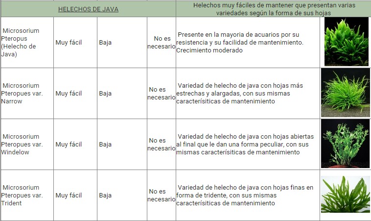 GUÍA DE PLANTAS ACUATICAS Zspz6x