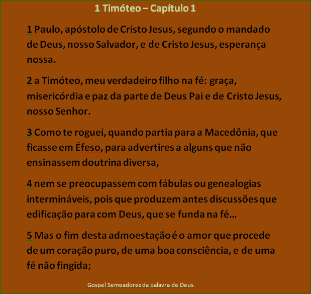 ESTUDO DA PRIMEIRA CARTA DE PAULO A TIMÓTEO . 15we5p3