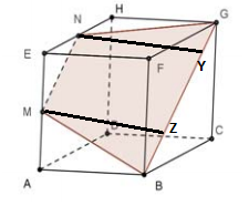 Geometria-CEPERJ 2142lgx