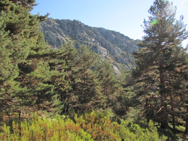 20120929 - NAVACERRADA - SENDA HERREROS 244pn52