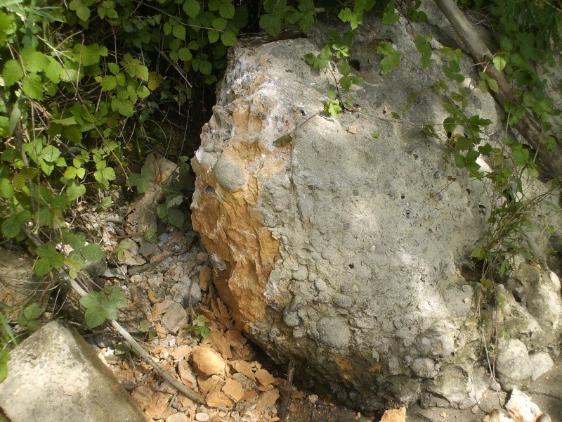 calcitas diamante de Pau,Francia. 262ns5h