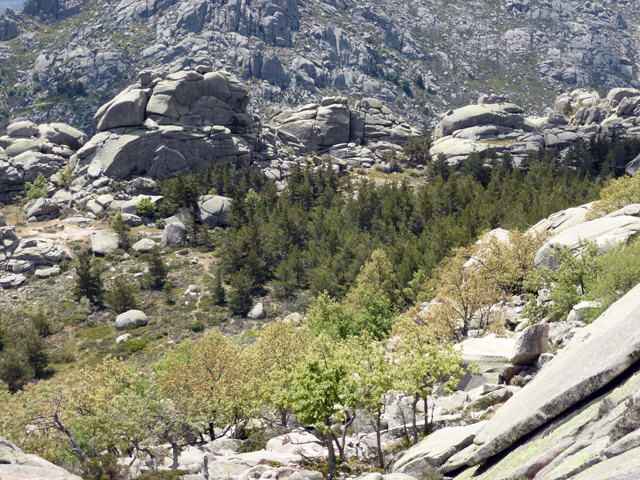 20141123-GUADARRAMA- CIRCULAR DE PEDRIZA I 28s23dd