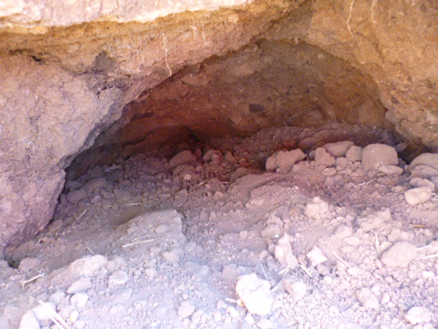 CUEVA PERDIDA EN EL MIDIO DEL CAMPO 2m27wab