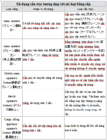 Các loại cần trục và bằng điều khiển cần trục 2vtwkds