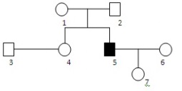 Heredograma - Genética  2w7gwoo