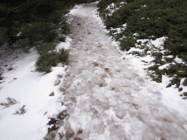 20091228 - ¡¡¡SE HA IDO LA NIEVE!!! 4qogia