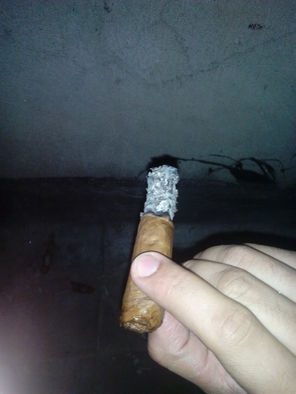 TABACO, Interpretación. Parte 2 5l4ggx