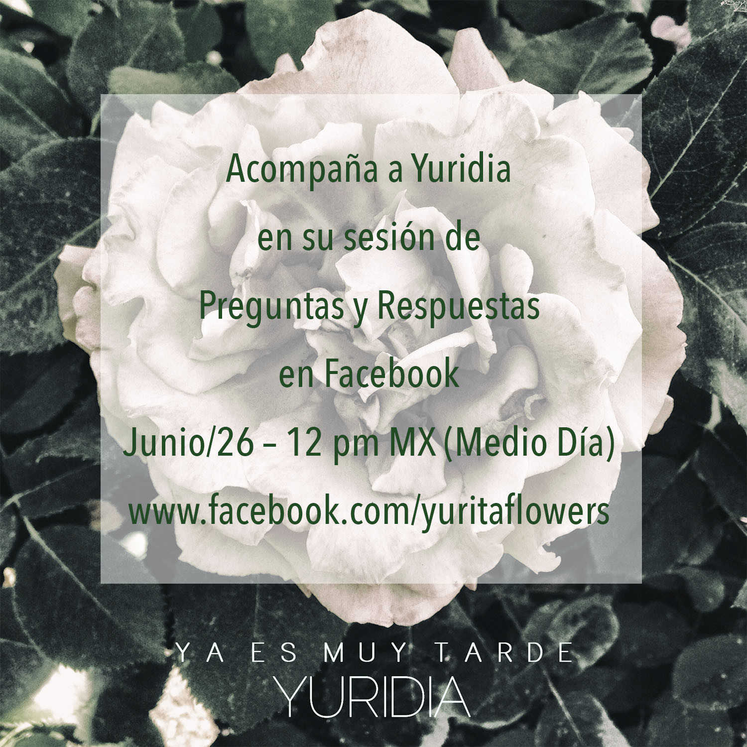 Yuridia | Junio 2015 | Fotos Bf2i3o