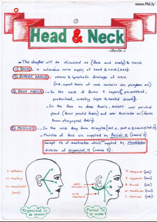 مذكرة دكتور خالد ميلاد Head & Neck Drbiwz