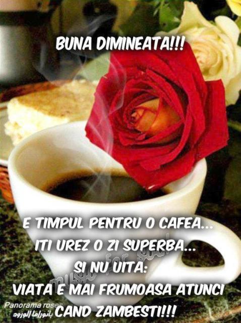 Cafeaua de dimineata 1y244p