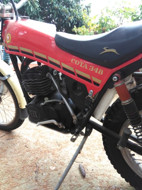 PONER MONTESA 348 TRIAL AL DÍA. 24b2se1