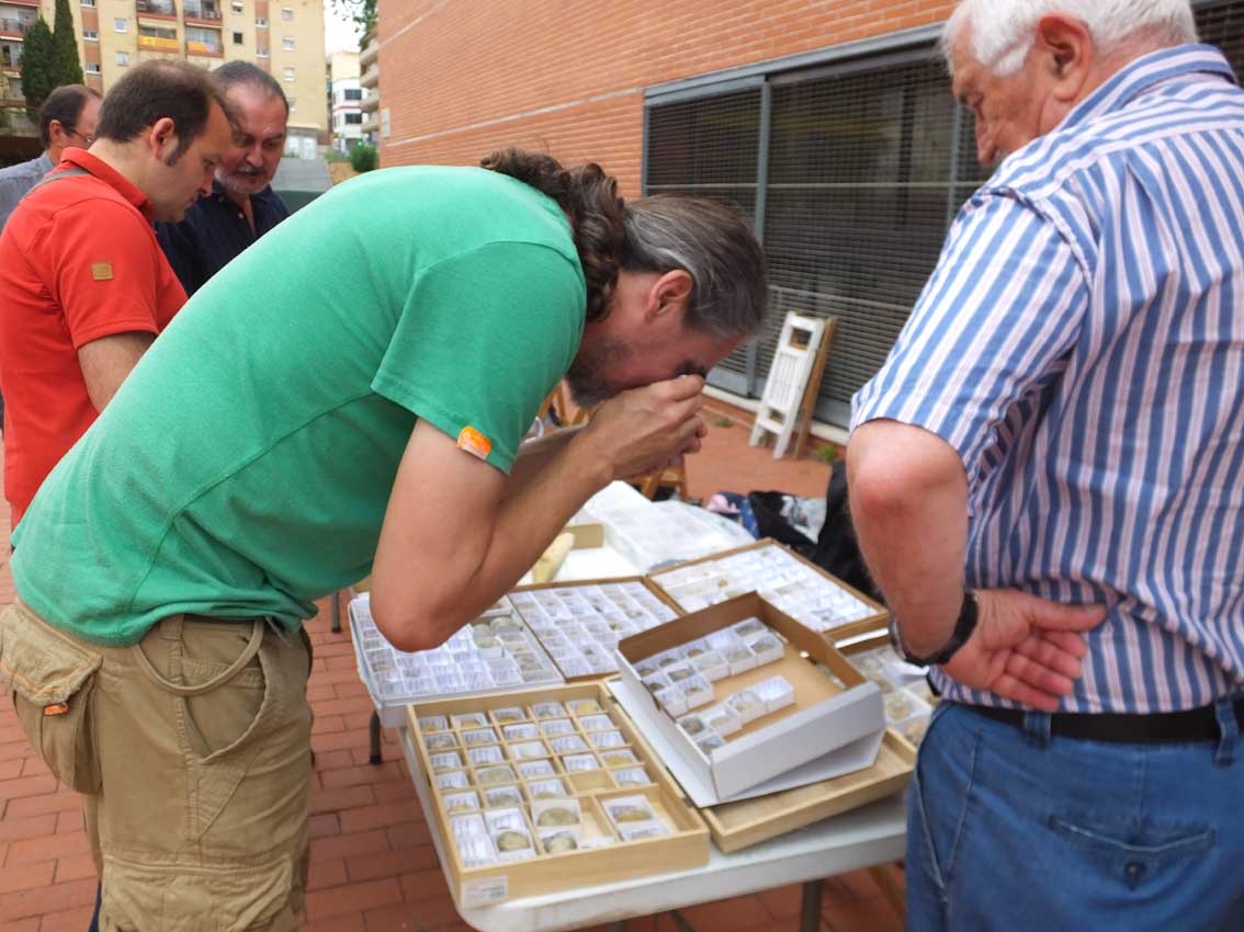 I Jornada de coleccionismo i intercambio de fósiles 281hjxy