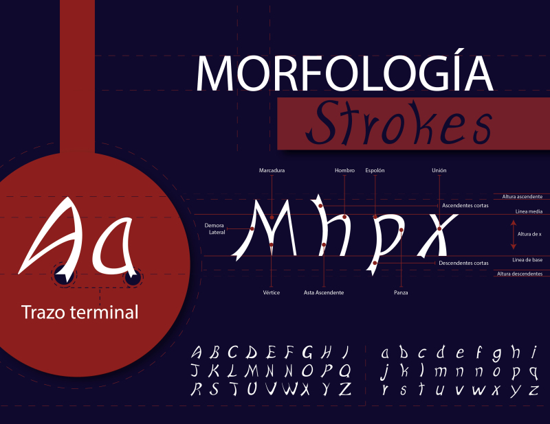 MORFOLOGÌA 29zzn1v