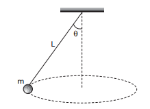 Pêndulo Cônico 2jfx937