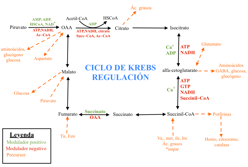 Unidad-I: OXIDACIONES BIOLÓGICAS (Cuestionario p/semana: 14-21 agosto, 2016) 2ykx5l0