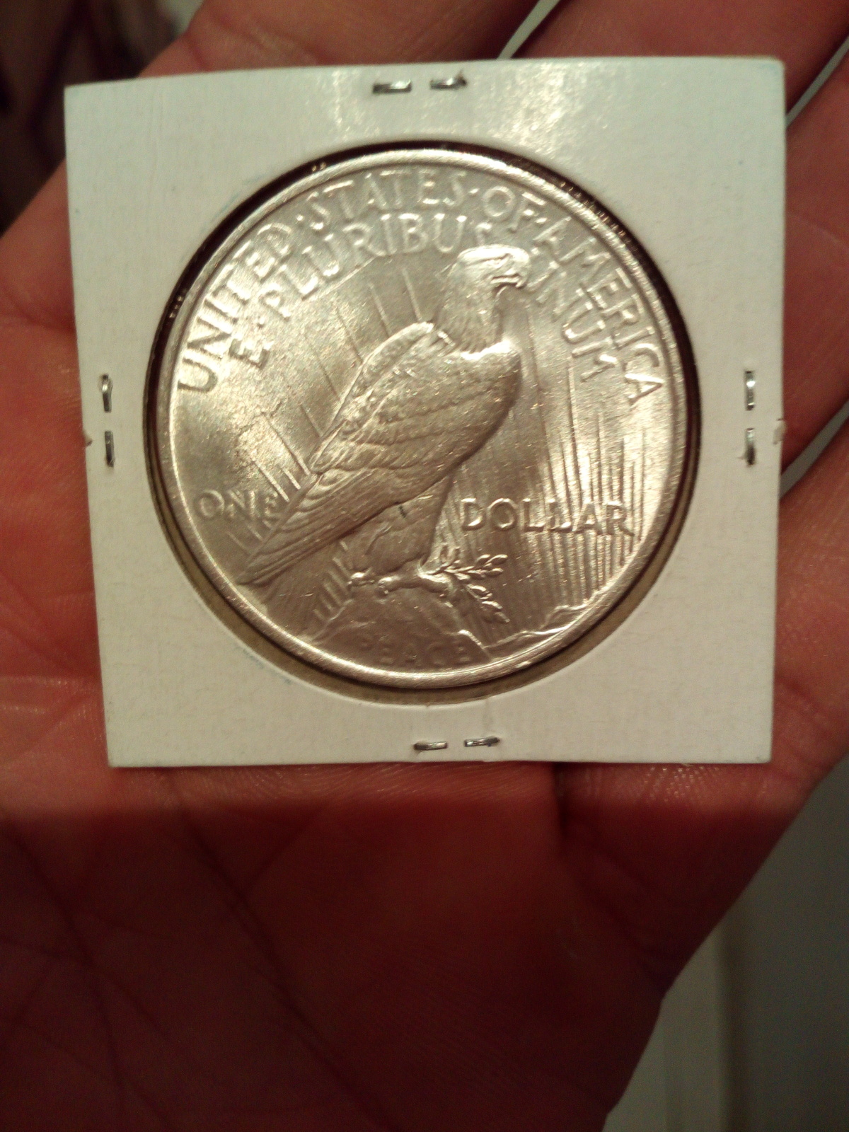 dolar plata  1923 302m24o