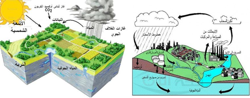 الفصل الرابع (2) التلوث البيئي-التلوث المائي 316qe8k