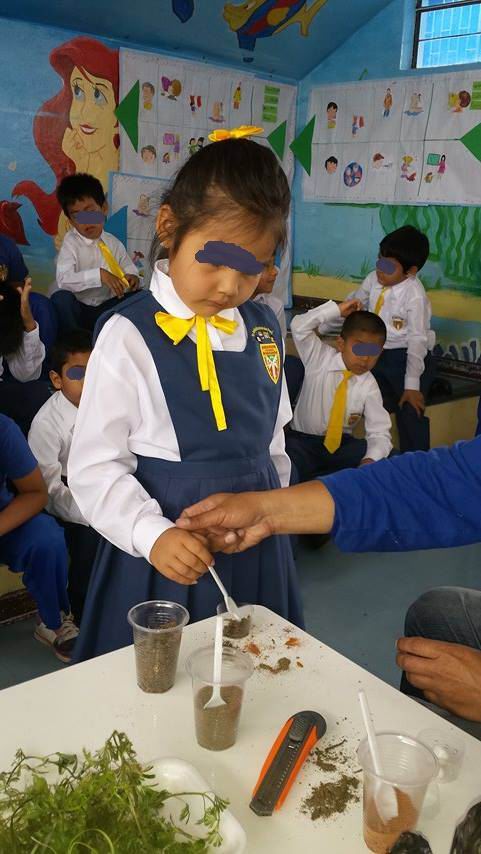 Mis alumnos plantando algunas plantas en nuestro acuario Fjj3mg