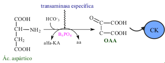 Unidad-I: OXIDACIONES BIOLÓGICAS (Cuestionario p/semana: 14-21 agosto, 2016) N4k0lw