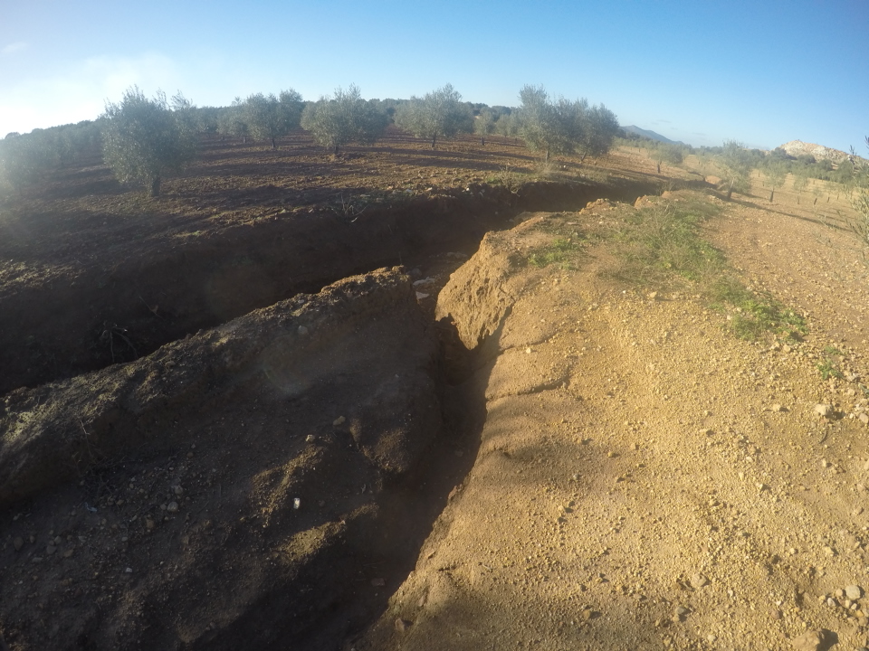 control de cárcavas en el olivar - Página 2 Qnocug