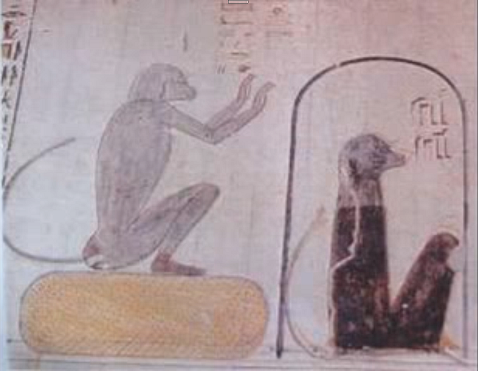 Principales dioses babuinos del antiguo Egipto. Wwj9ld