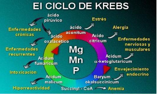 Unidad-I: OXIDACIONES BIOLÓGICAS (Cuestionario p/semana: 14-21 agosto, 2016) 107pcup