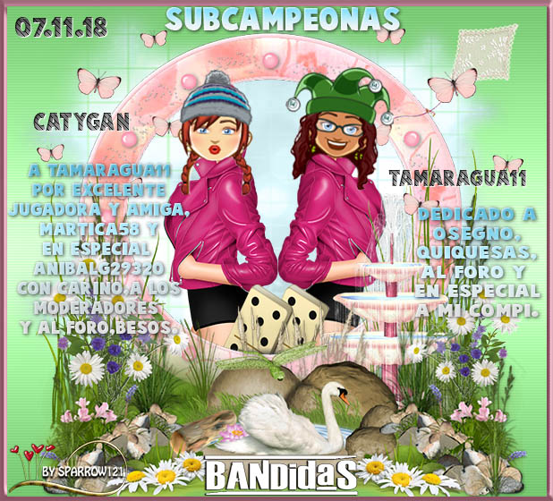 07/11/18 CAMPEONES:SIAB2 Y GONZOS1 - SUBCAMPEONAS:TAMARAGUA11 Y CATYGAN 156wmit