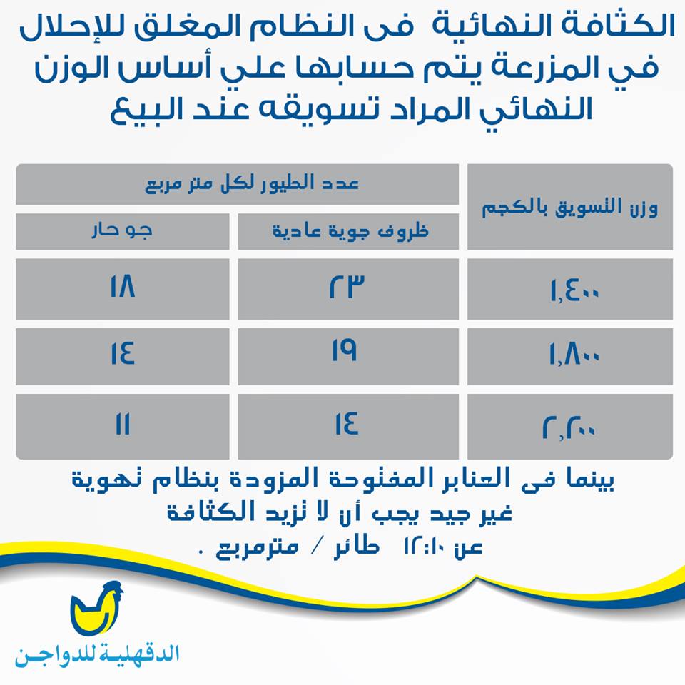 كثافة الطيور:ايه عدد الطيور المناسب لمساحة المزرعة صيفا وشتاء بالصور  2ujh28h