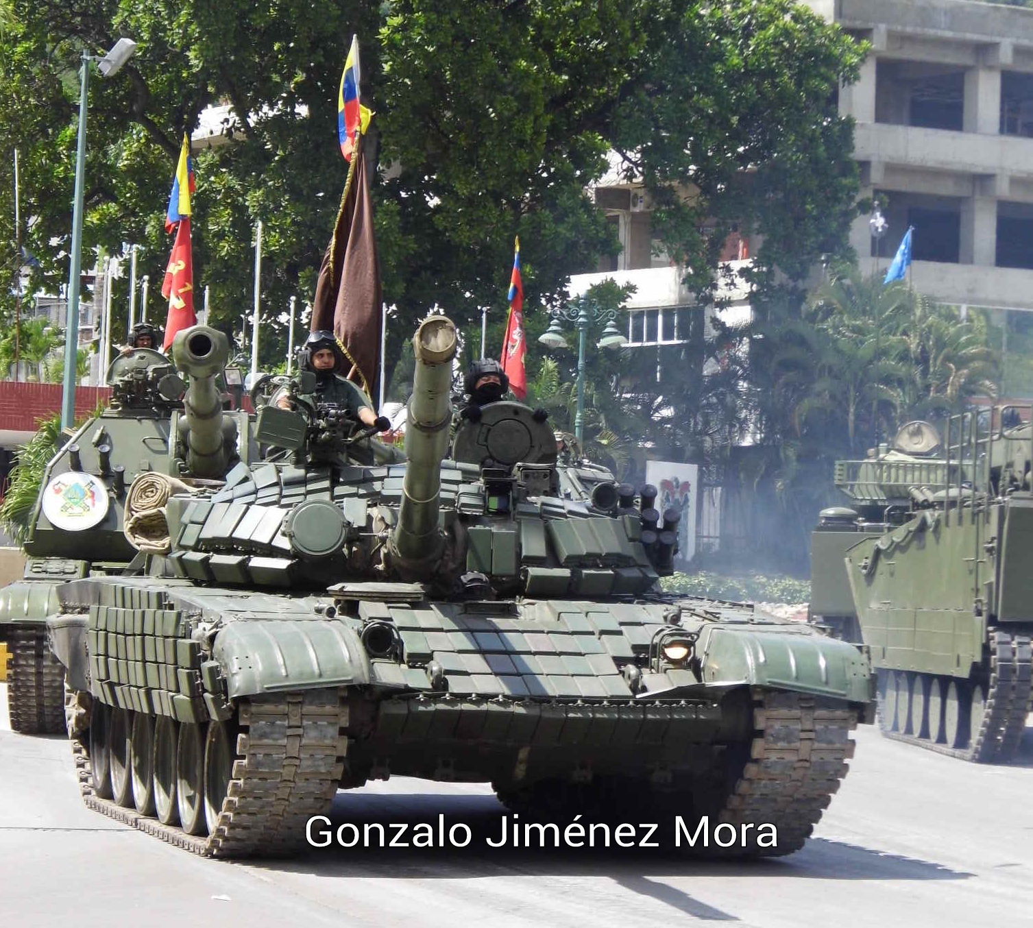 Fuerza Armada Nacional Bolivariana de Venezuela - Página 5 30cbtom