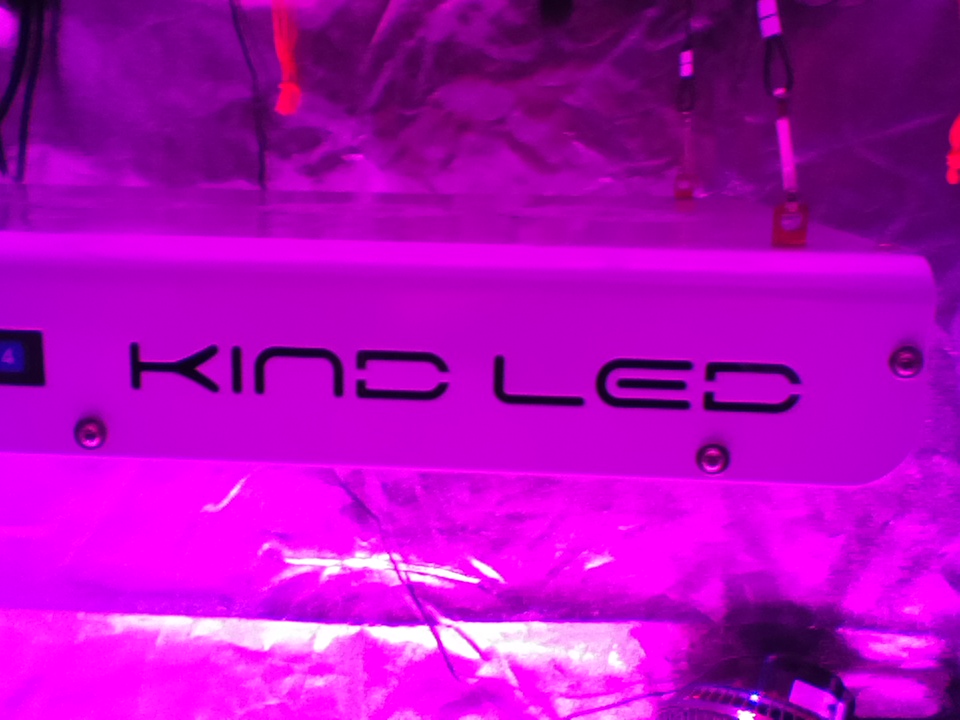 KIND LED GROW LIGHTS - Review 8y9qpe