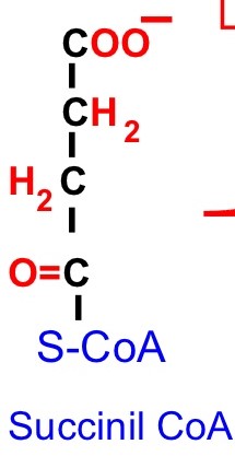 Unidad-I: OXIDACIONES BIOLÓGICAS (Cuestionario p/semana: 14-21 agosto, 2016) B4akxs