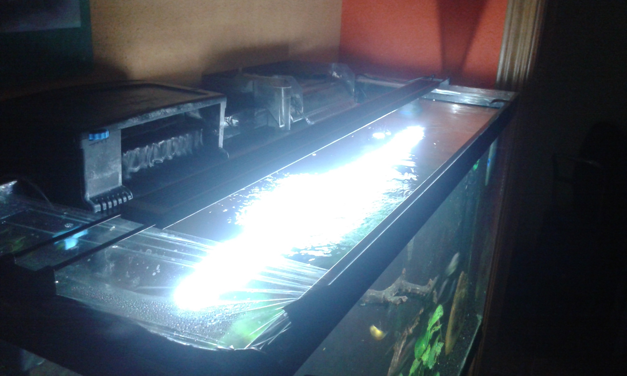 Probando la pantalla Fluval aquasky 1z65aix