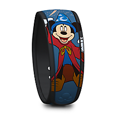 Info magic bands 1zqvxn5