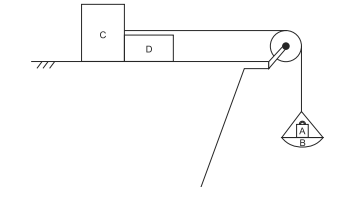 Dinâmica-UNIT 1zz19v