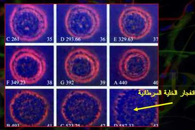  النفخ في الصور: حقيقة علمية وقرآنية	 2hci68h