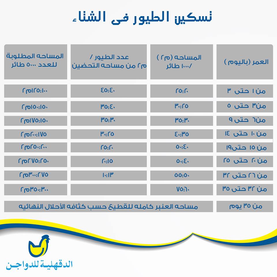 كثافة الطيور:ايه عدد الطيور المناسب لمساحة المزرعة صيفا وشتاء بالصور  2hp4swi